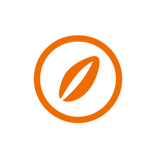 Orange circle with a leaf inside on a white background